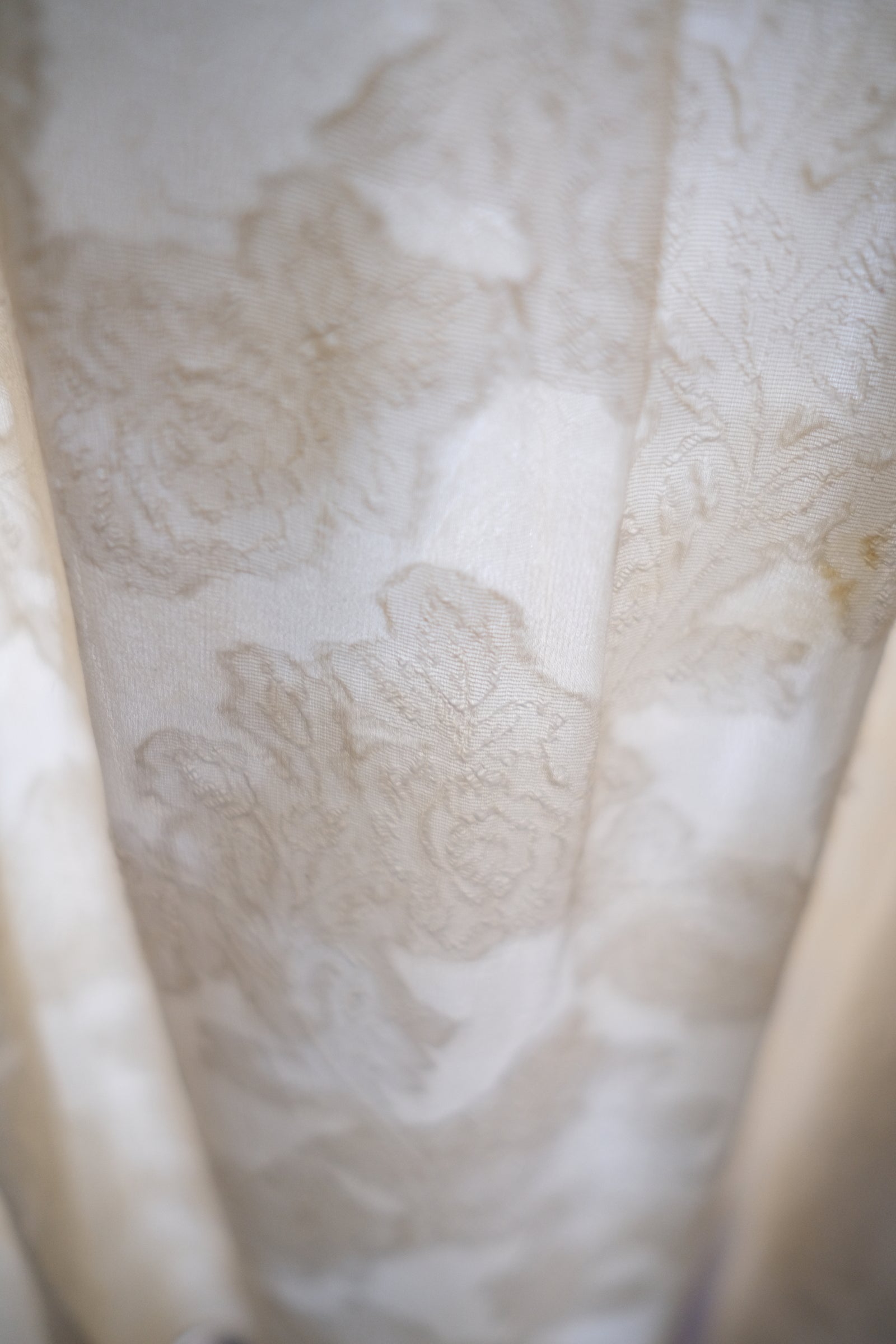 1910-20's Edwardian Silk Gauze Lace Dress / 絲質薄紗蕾絲連身裙