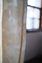 1910-20's Edwardian Silk Gauze Lace Dress / 絲質薄紗蕾絲連身裙