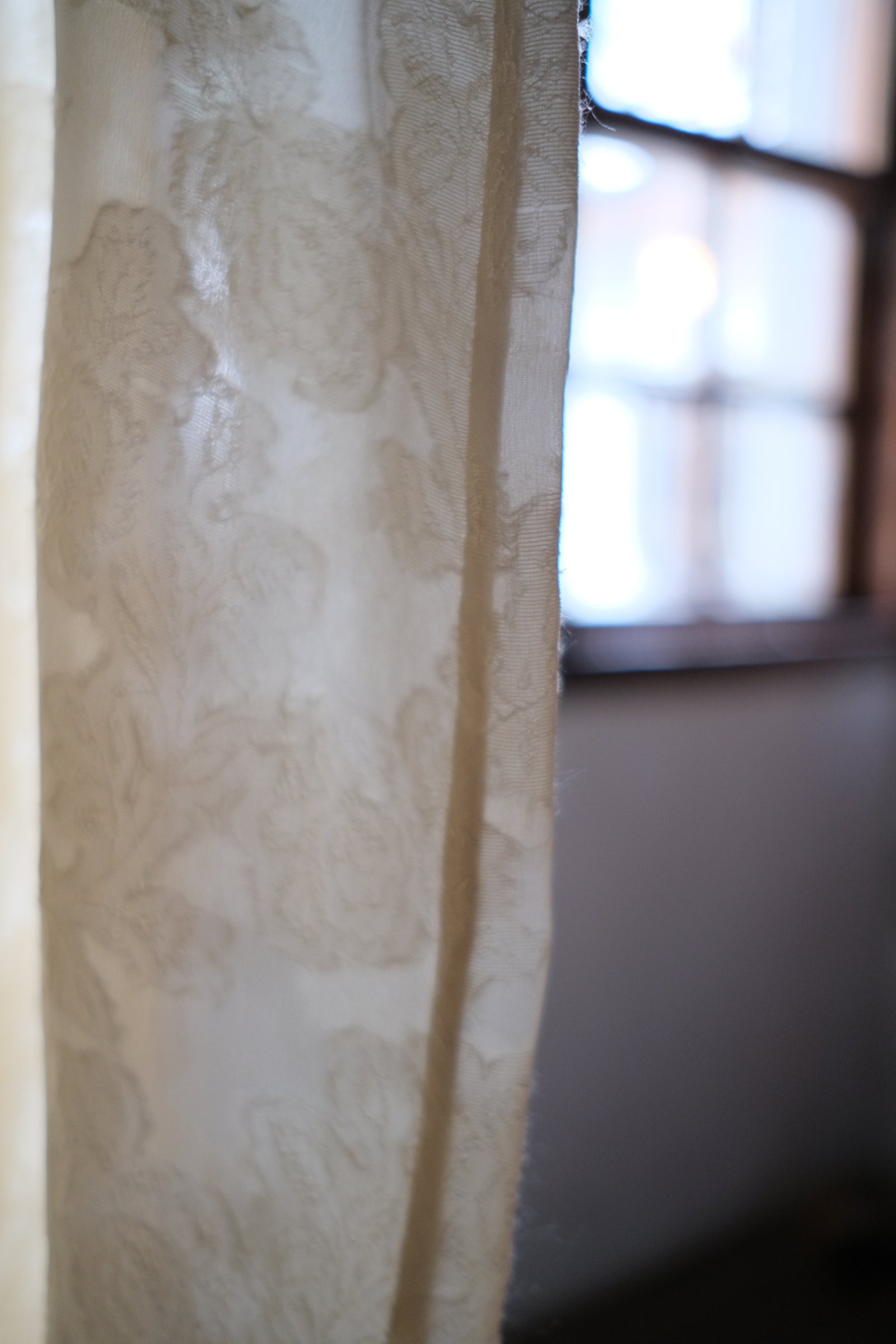 1910-20's Edwardian Silk Gauze Lace Dress / 絲質薄紗蕾絲連身裙