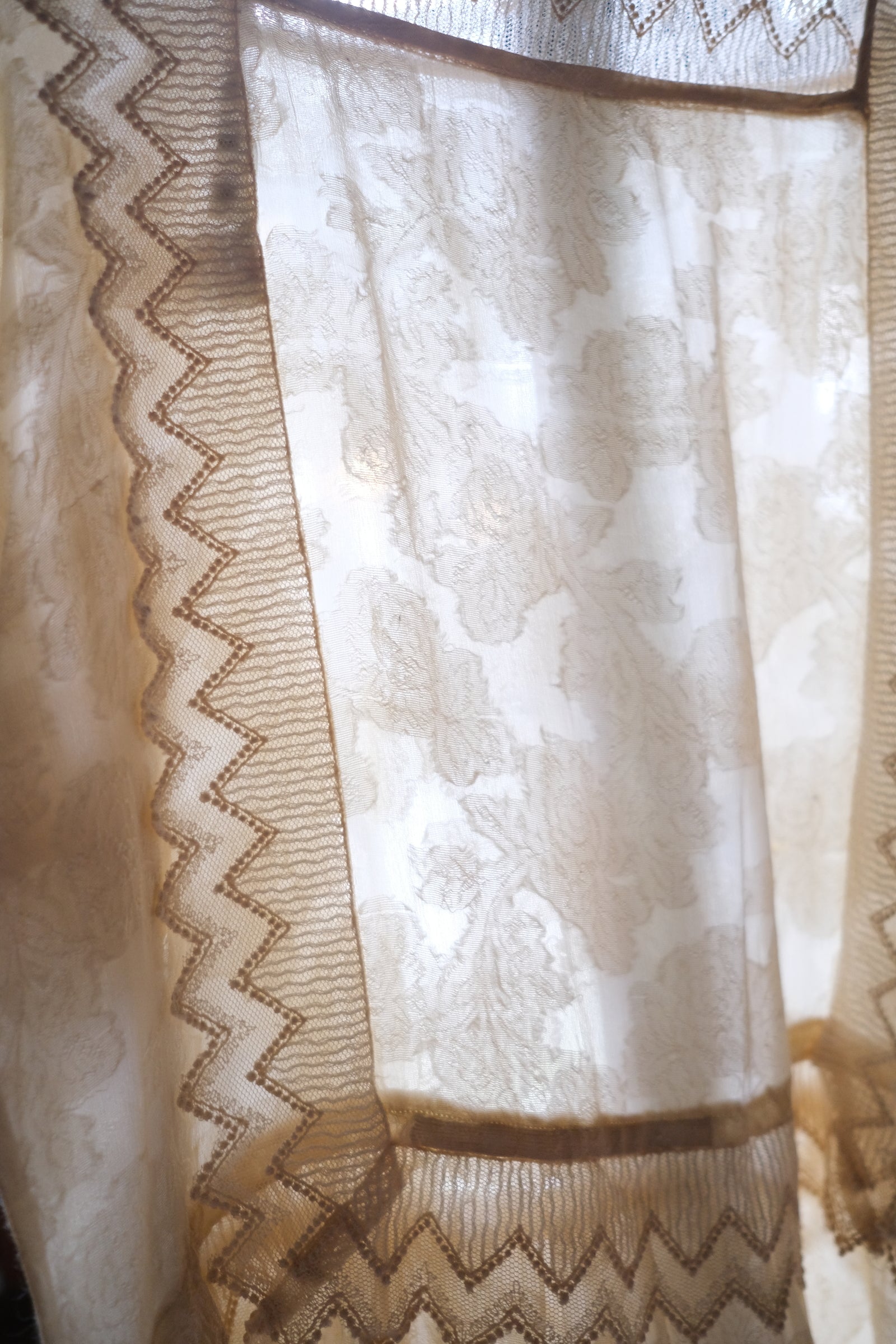 1910-20's Edwardian Silk Gauze Lace Dress / 絲質薄紗蕾絲連身裙