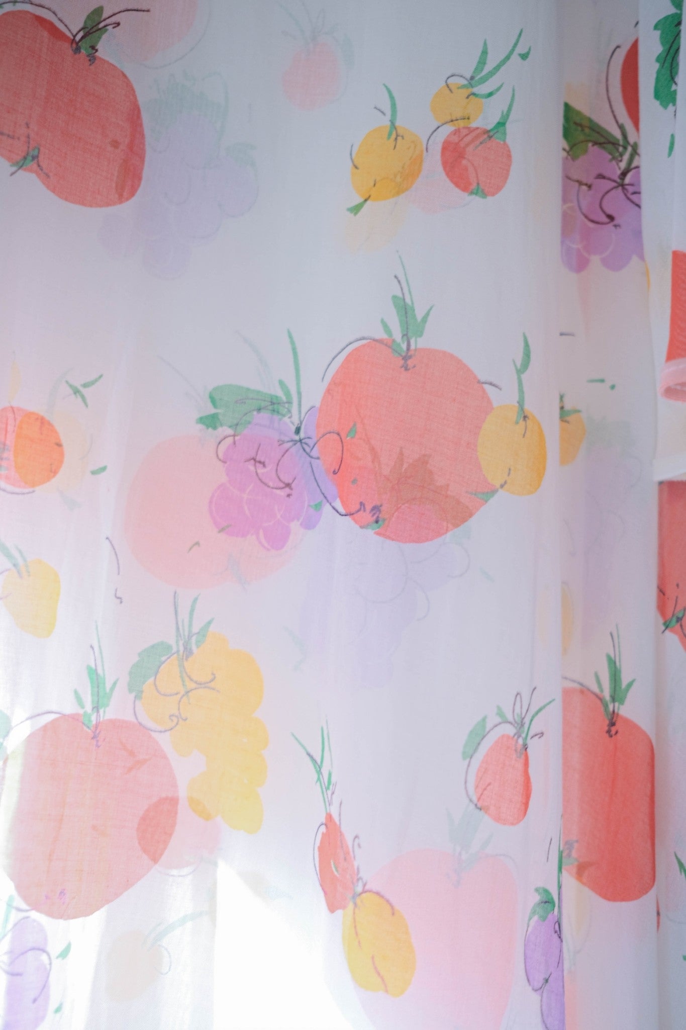 Vintage Butterfly Sleeves Sheer Dress / 蝴蝶袖蔬果透膚洋裝