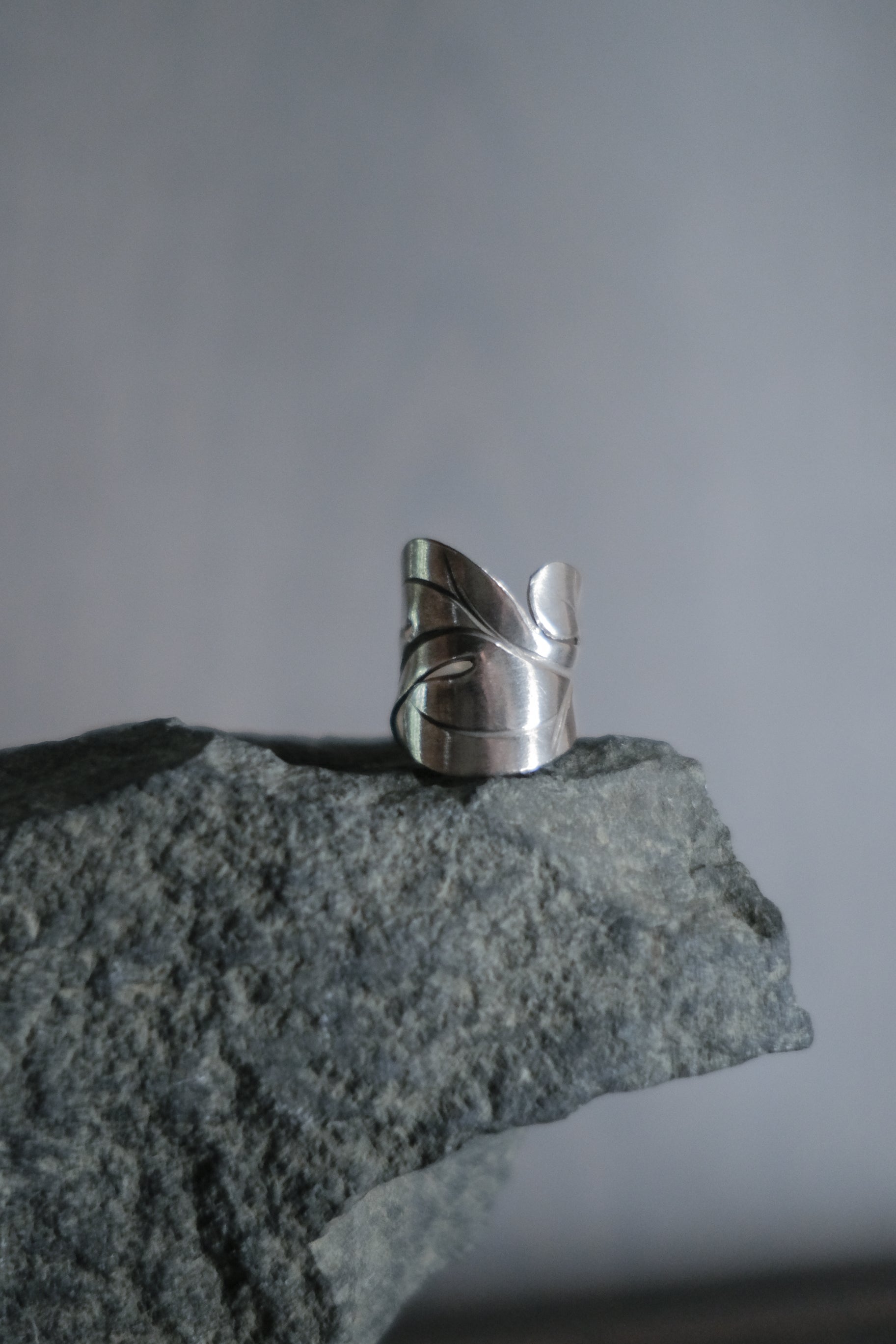Ethnic Handcrafted Silver Ring _ BO ⅩⅩ