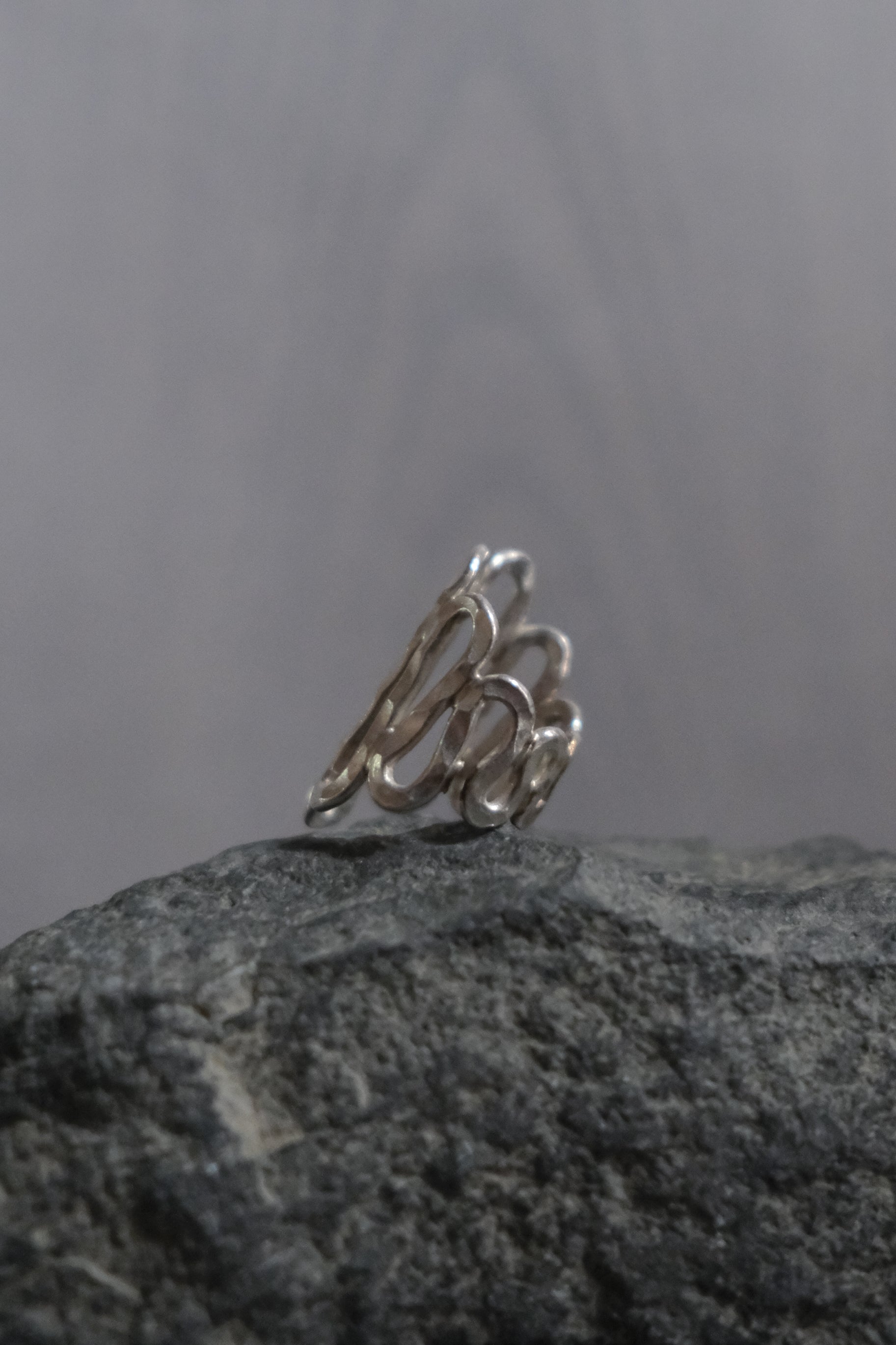 Ethnic Handcrafted Silver Ring _ WA ⅩⅤ
