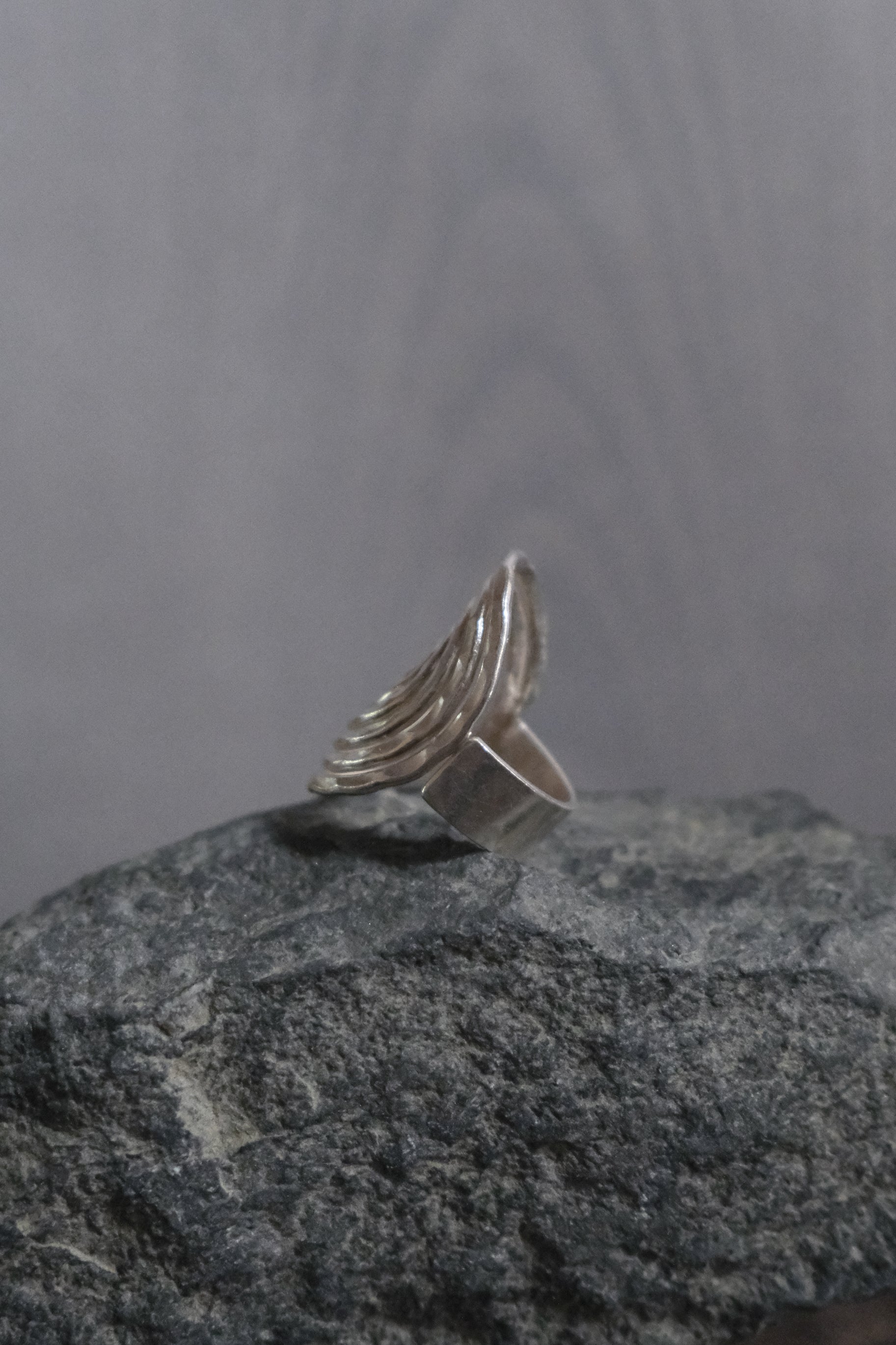 Ethnic Handcrafted Silver Ring _ WA II