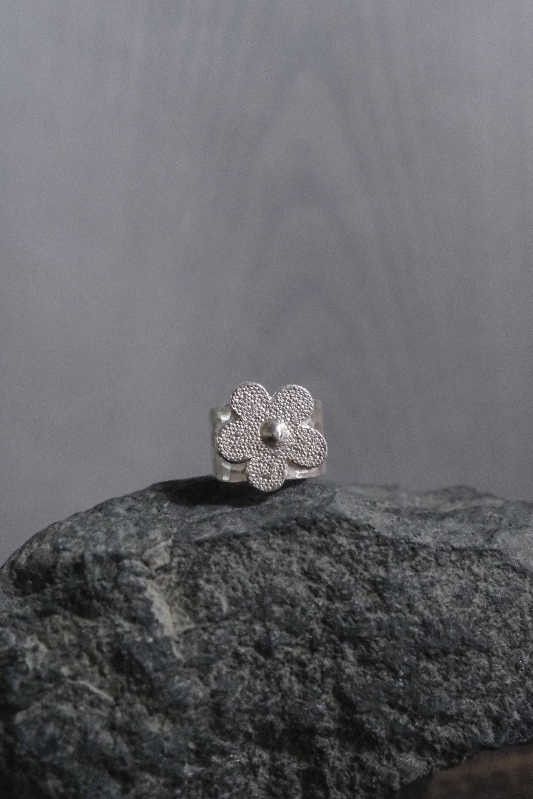 Ethnic Handcrafted Silver Ring _ BO Ⅹ Ⅷ