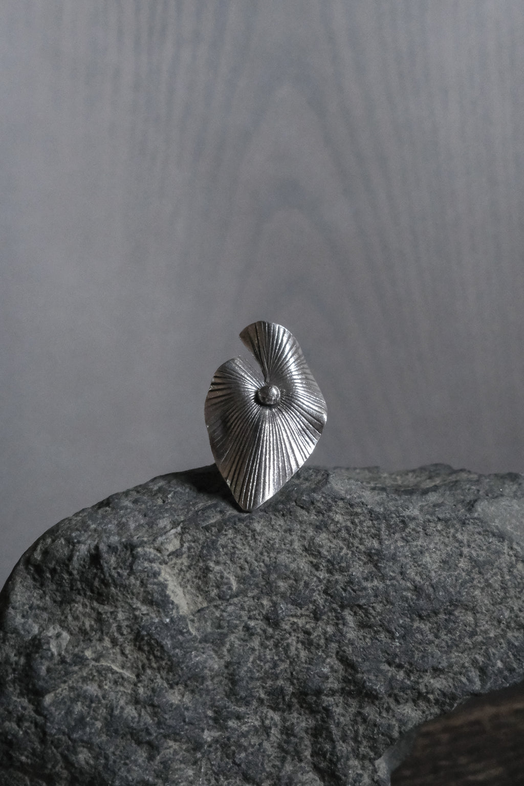 Ethnic Handcrafted Silver Ring _ BO ⅩⅢ