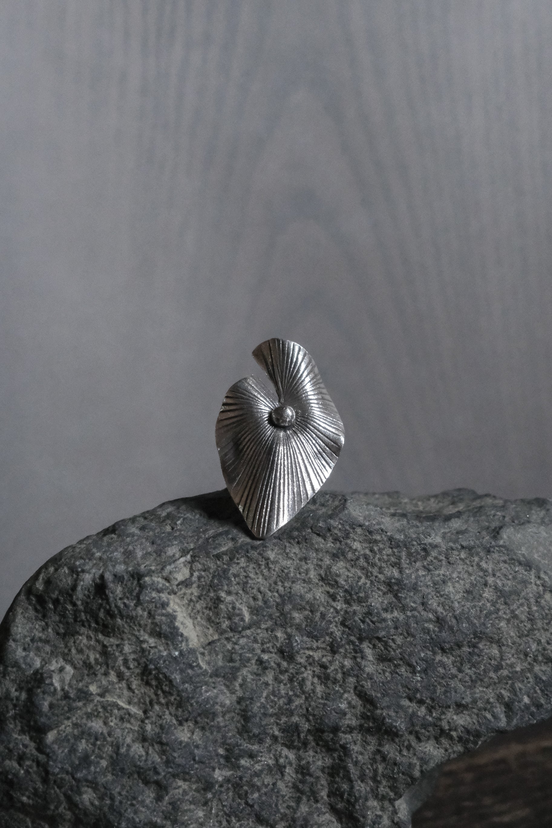 Ethnic Handcrafted Silver Ring _ BO ⅩⅢ