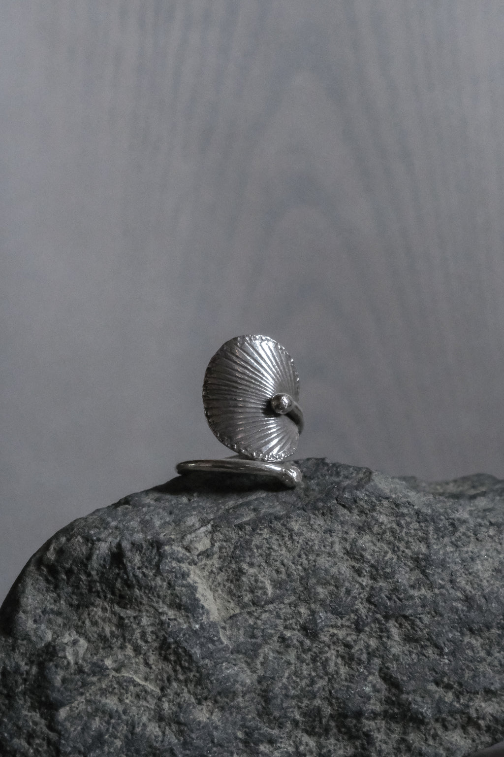 Ethnic Handcrafted Silver Ring _ BO Ⅹ Ⅳ
