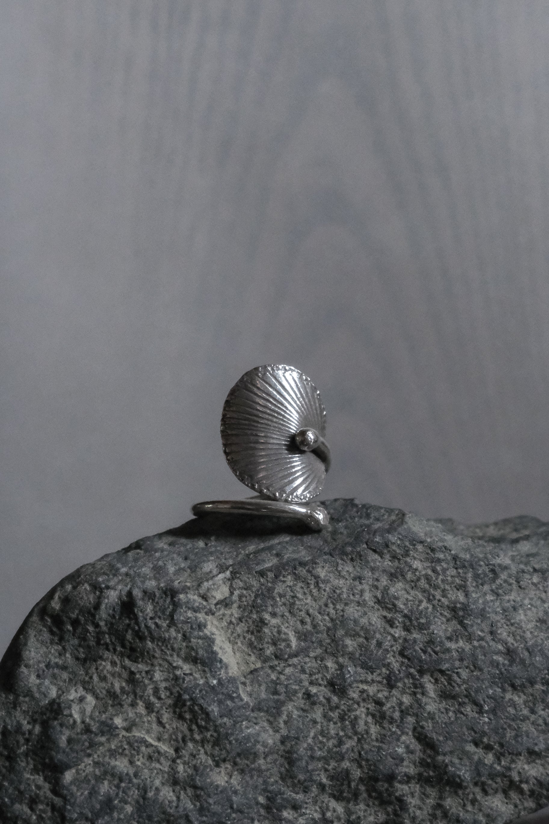 Ethnic Handcrafted Silver Ring _ BO Ⅹ Ⅳ