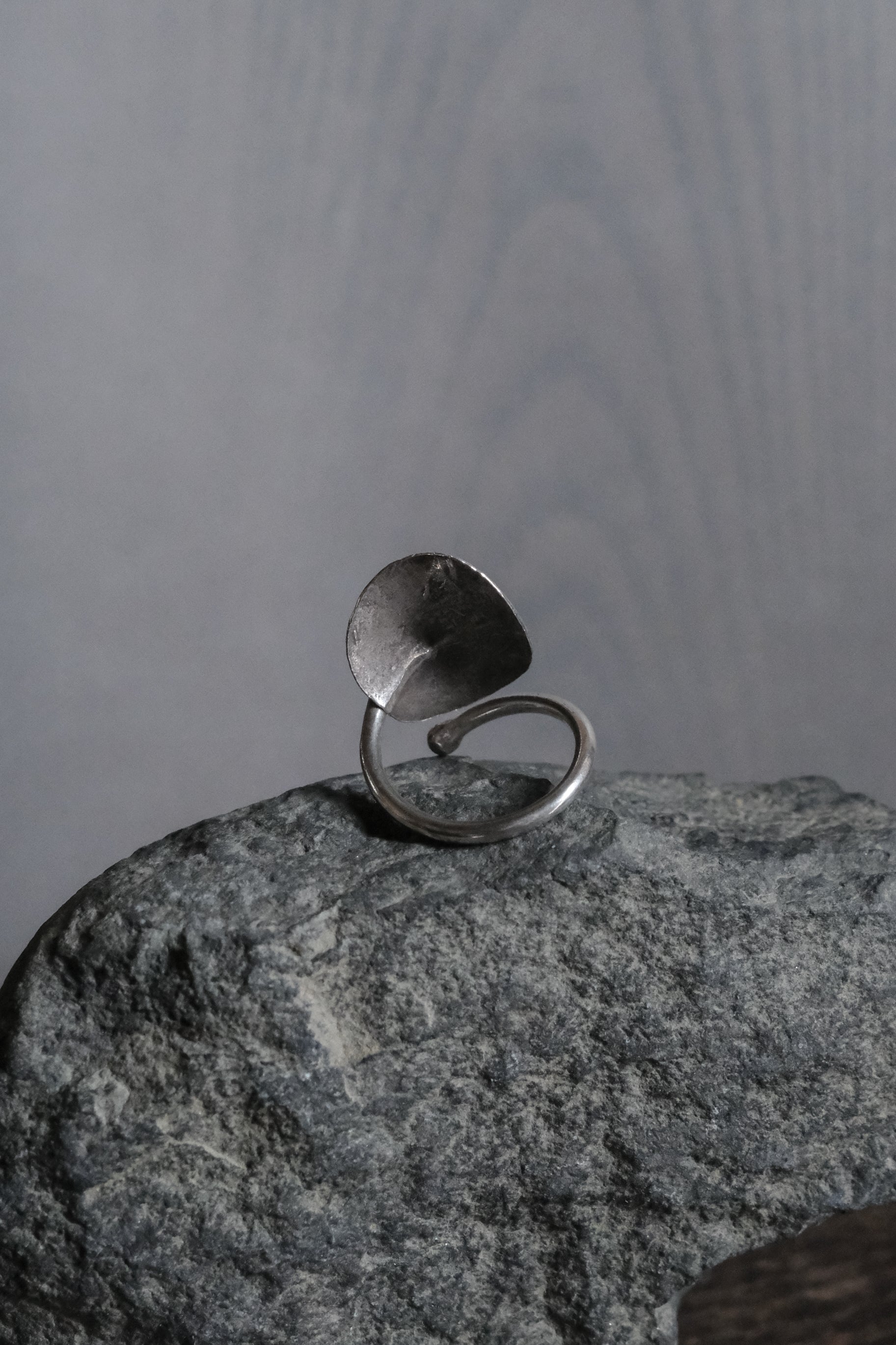 Ethnic Handcrafted Silver Ring _ BO Ⅹ Ⅳ