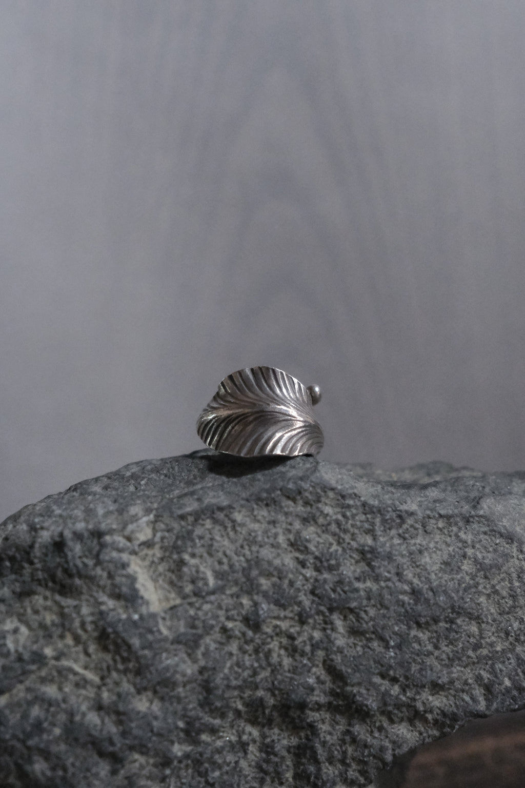 Ethnic Handcrafted Silver Ring _ BO Ⅵ