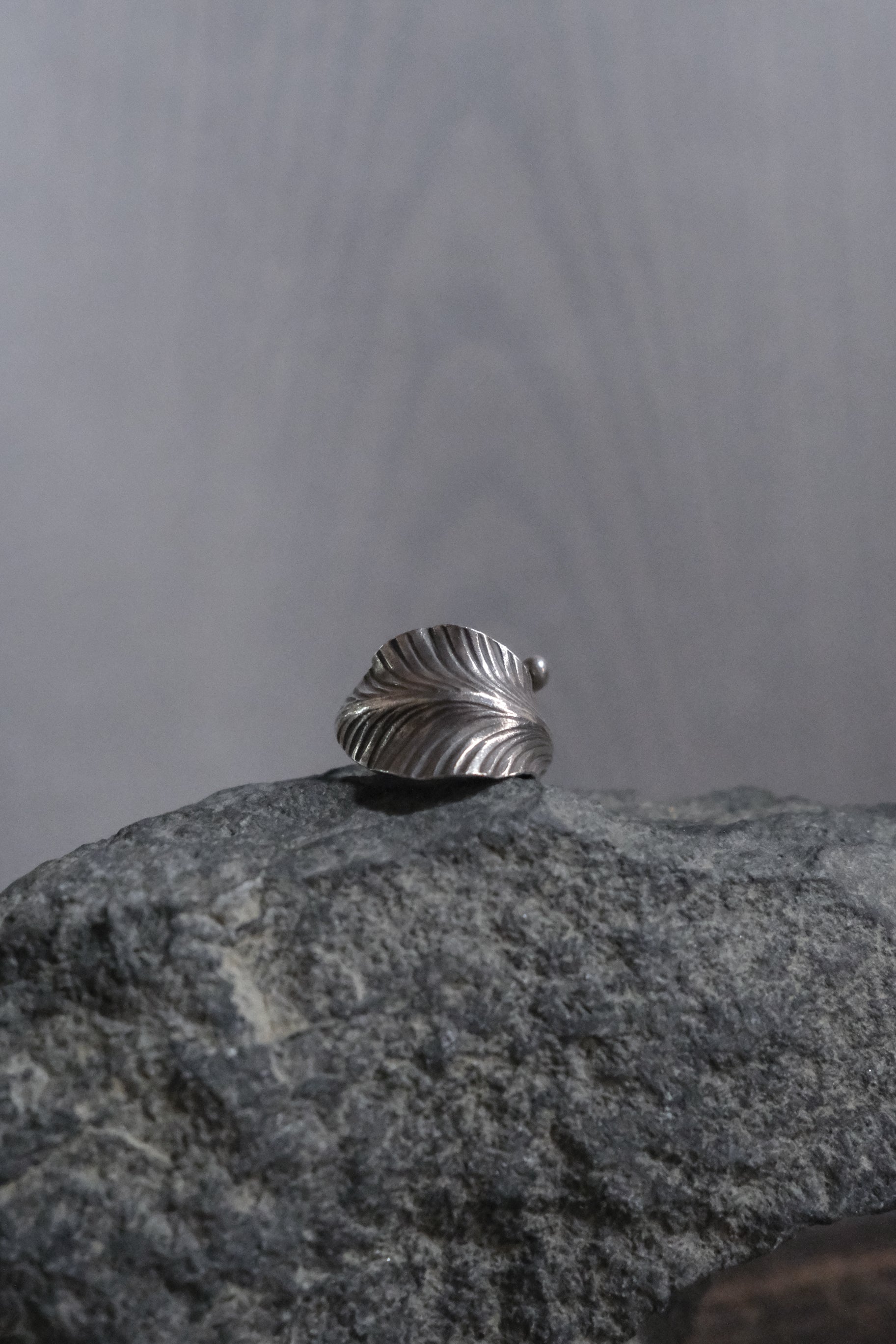 Ethnic Handcrafted Silver Ring _ BO Ⅵ