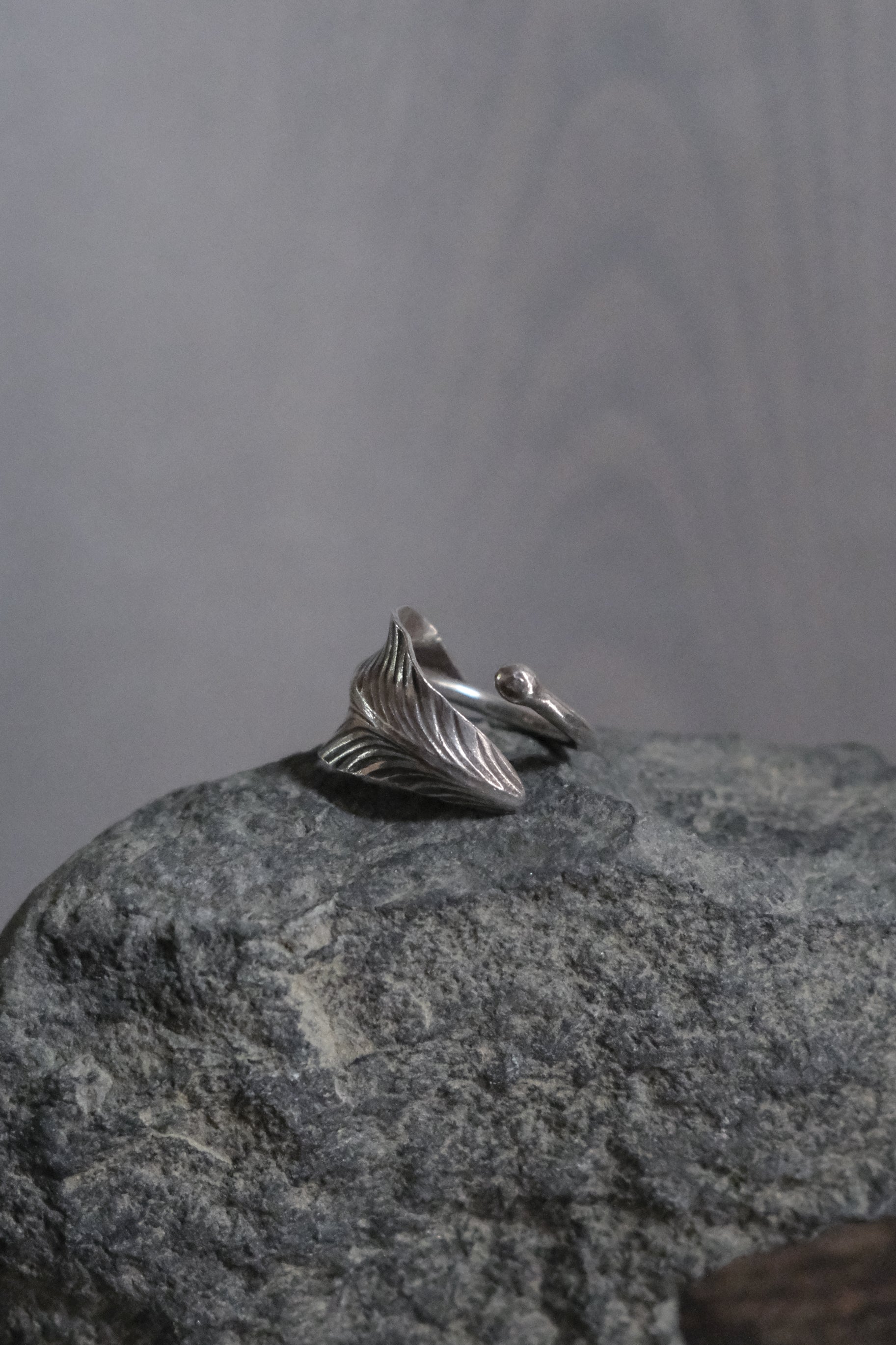 Ethnic Handcrafted Silver Ring _ BO Ⅵ