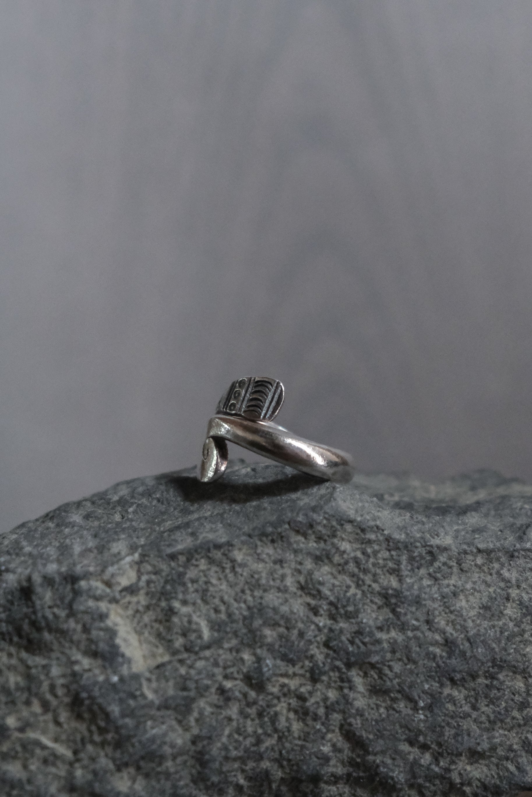 Ethnic Handcrafted Silver Ring _ TO Ⅰ