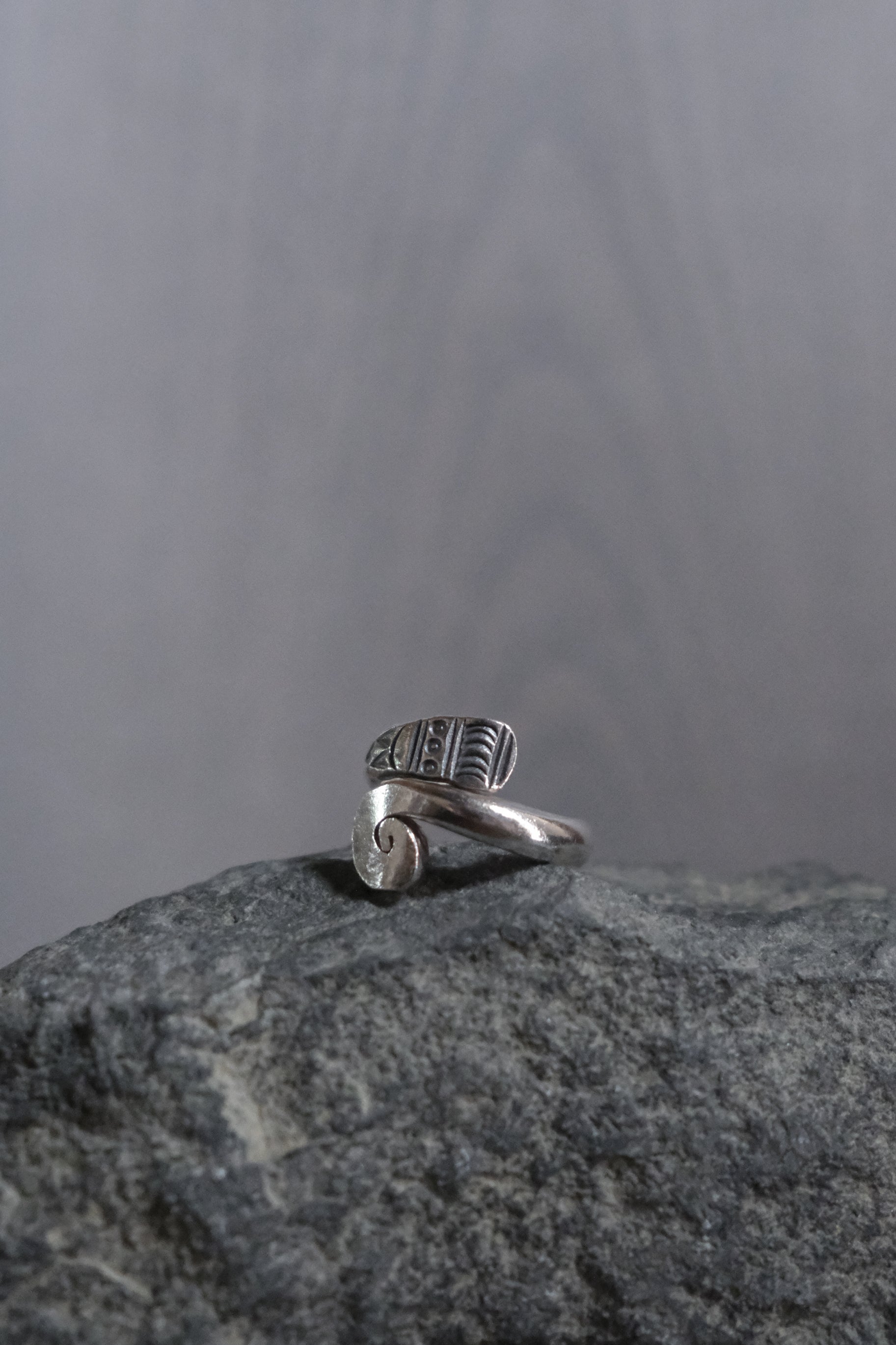 Ethnic Handcrafted Silver Ring _ TO Ⅰ