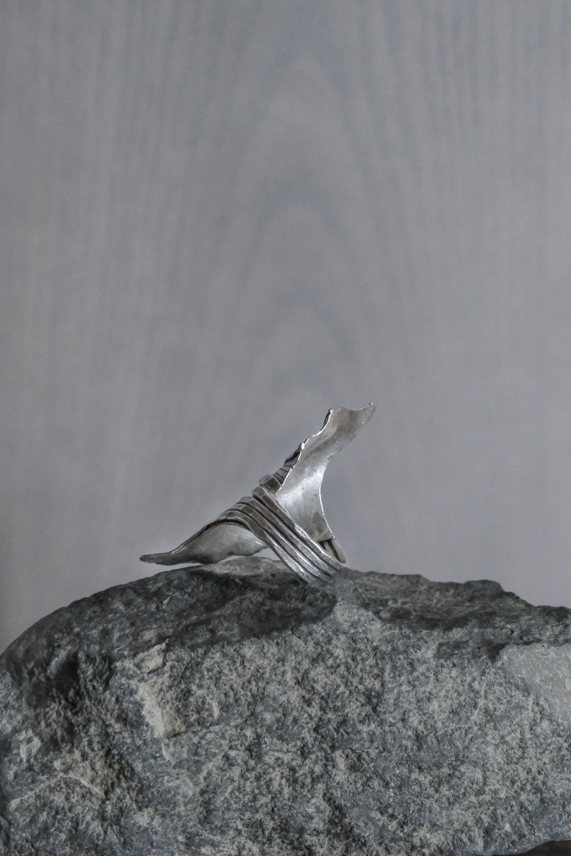 Ethnic Handcrafted Silver Ring _ BO Ⅺ