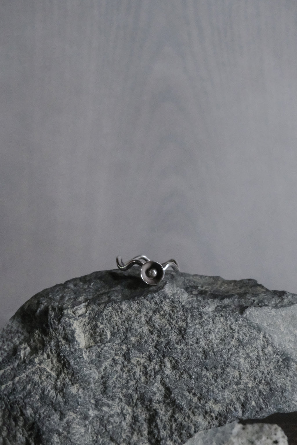 Ethnic Handcrafted Silver Ring _ BO Ⅸ