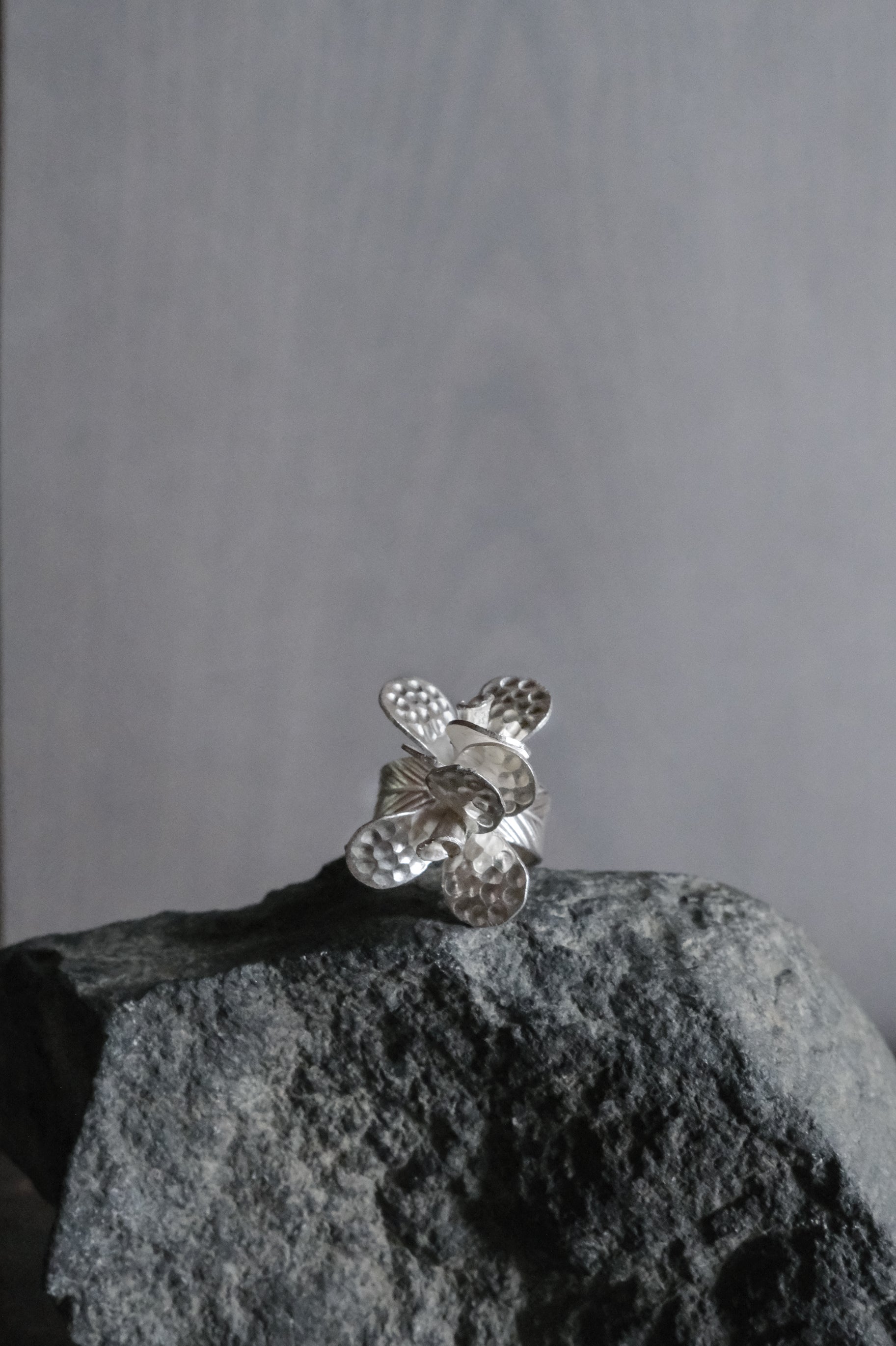 Ethnic Handcrafted Silver Ring _ BO Ⅹ Ⅵ