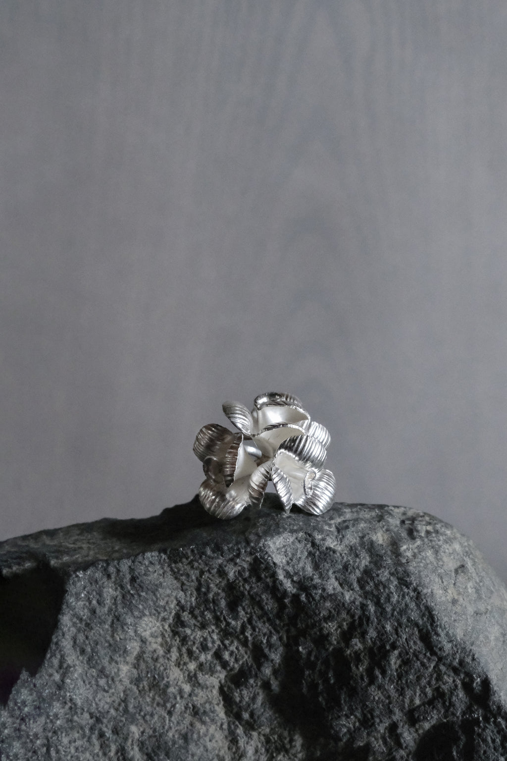Ethnic Handcrafted Silver Ring _ BO Ⅹ Ⅶ