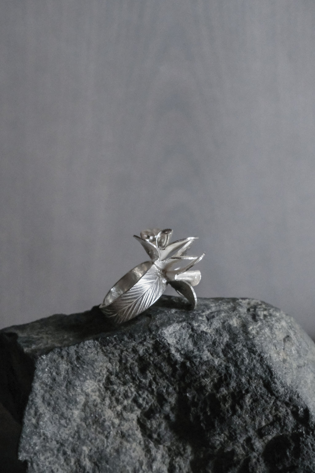 Ethnic Handcrafted Silver Ring _ BO Ⅹ Ⅵ