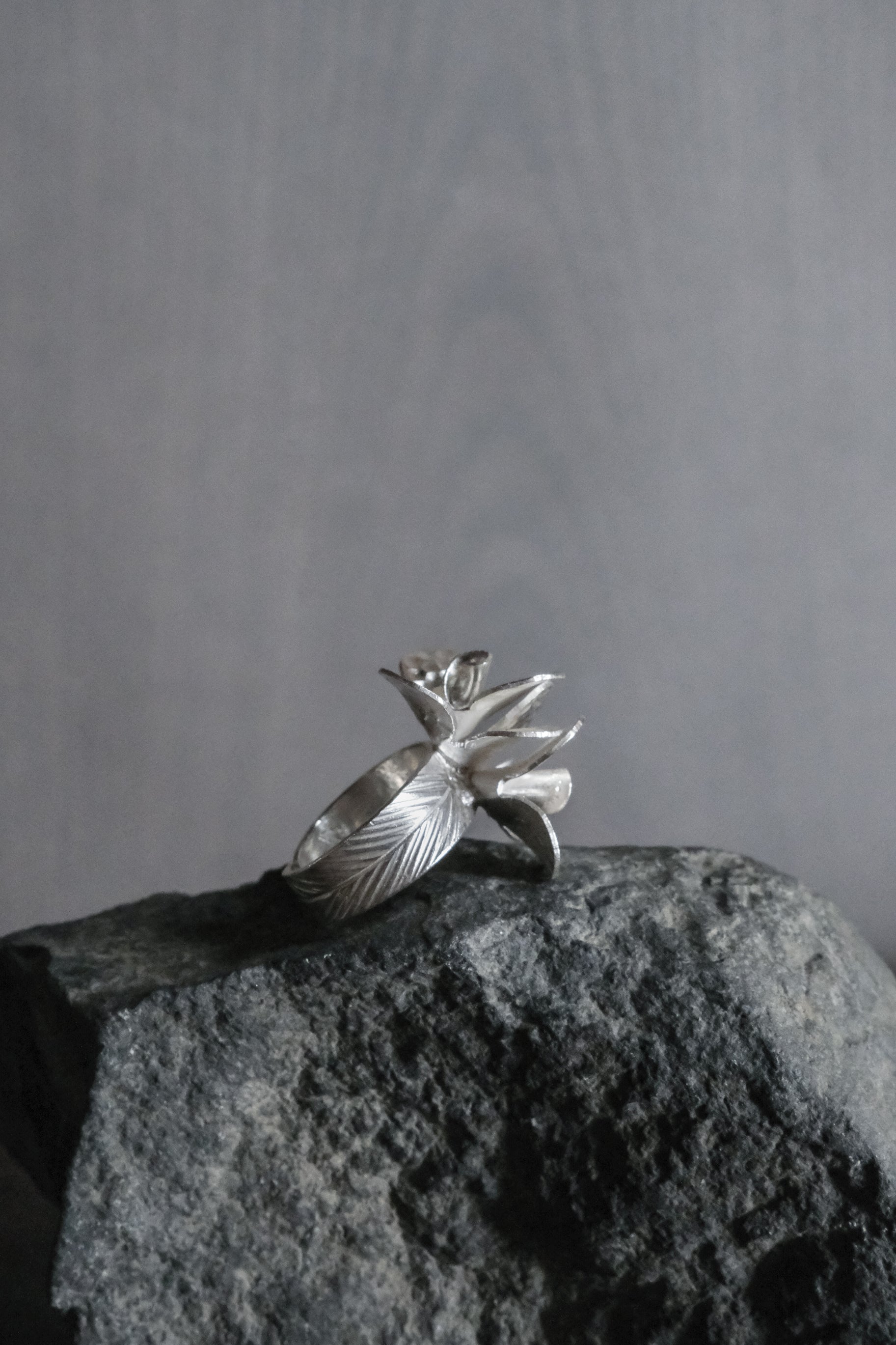 Ethnic Handcrafted Silver Ring _ BO Ⅹ Ⅵ