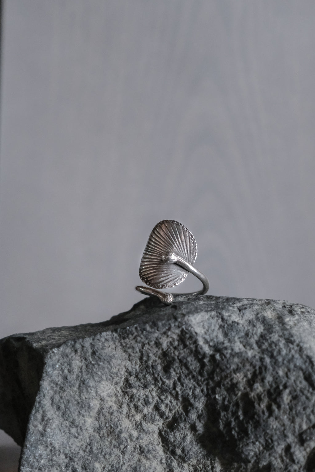 Ethnic Handcrafted Silver Ring _ BO Ⅹ Ⅳ