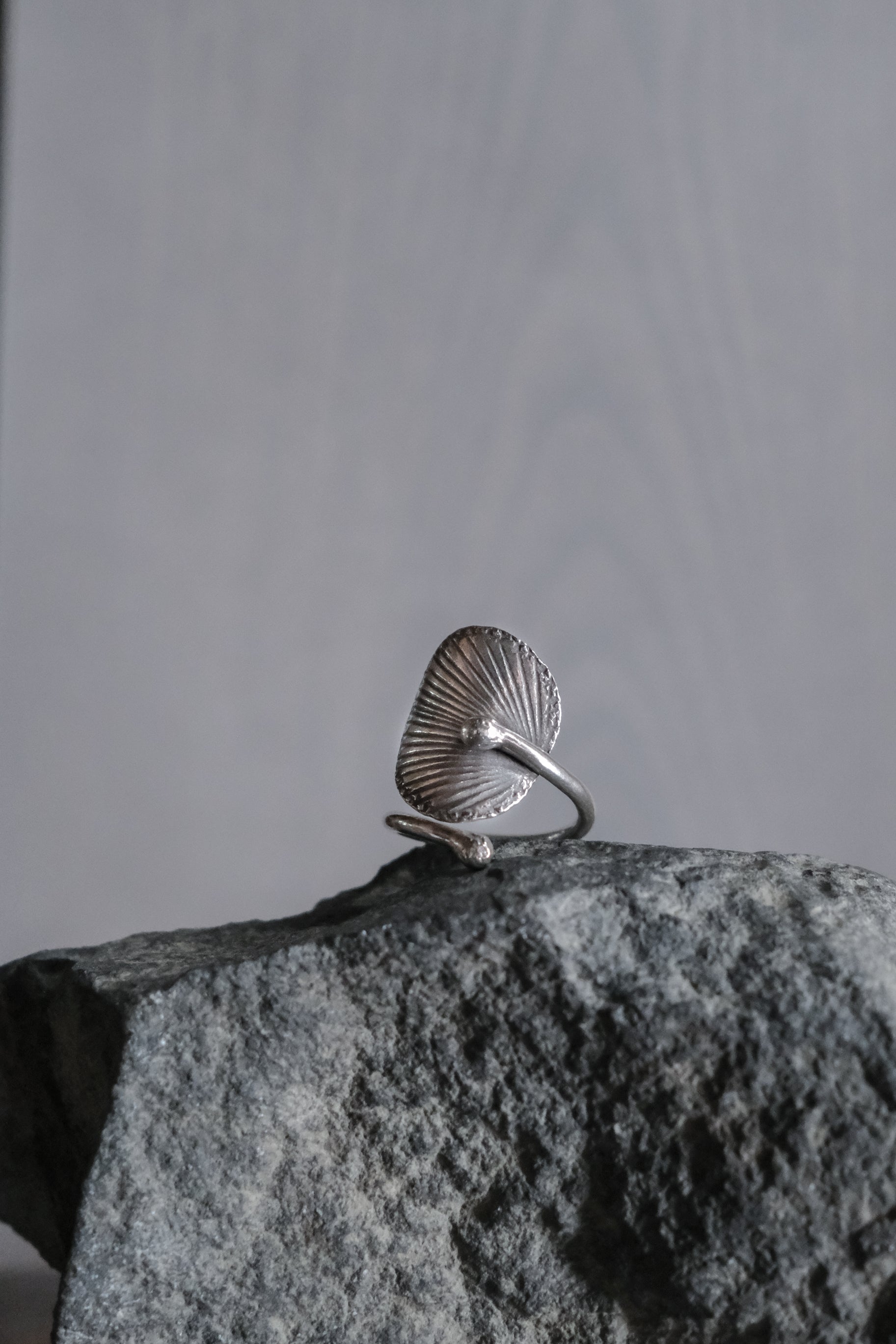 Ethnic Handcrafted Silver Ring _ BO Ⅹ Ⅳ