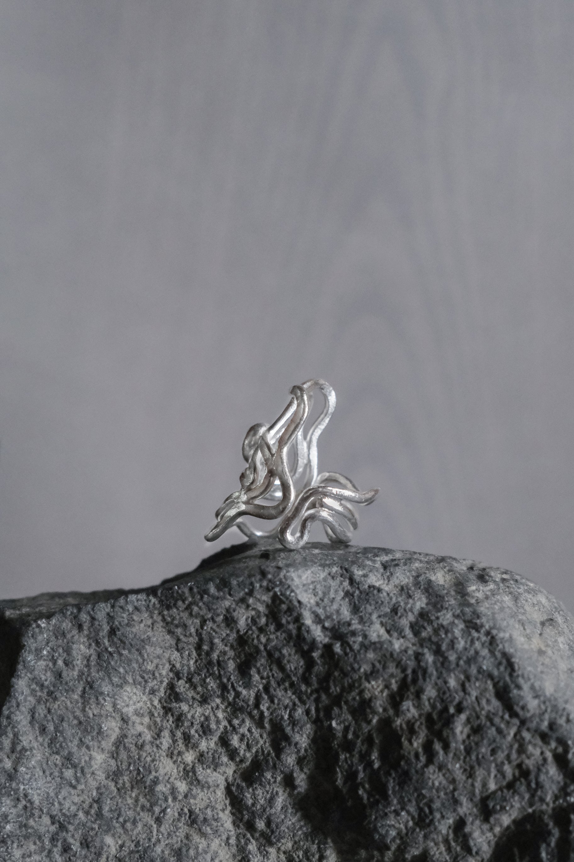 Ethnic Handcrafted Silver Ring _ WA Ⅳ