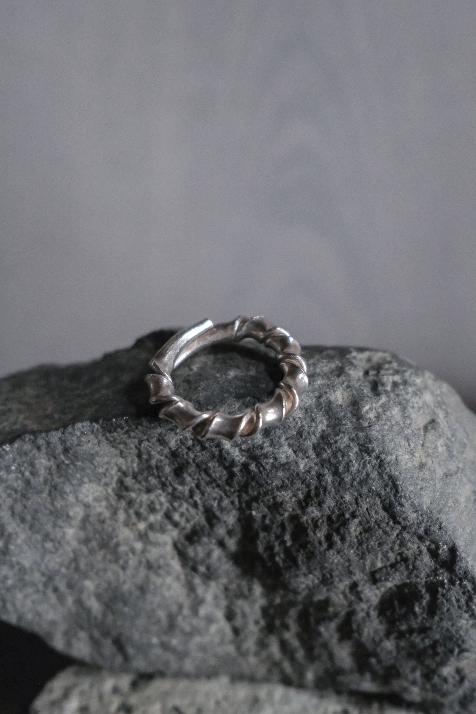 Ethnic Handcrafted Silver Ring _ WO Ⅴ