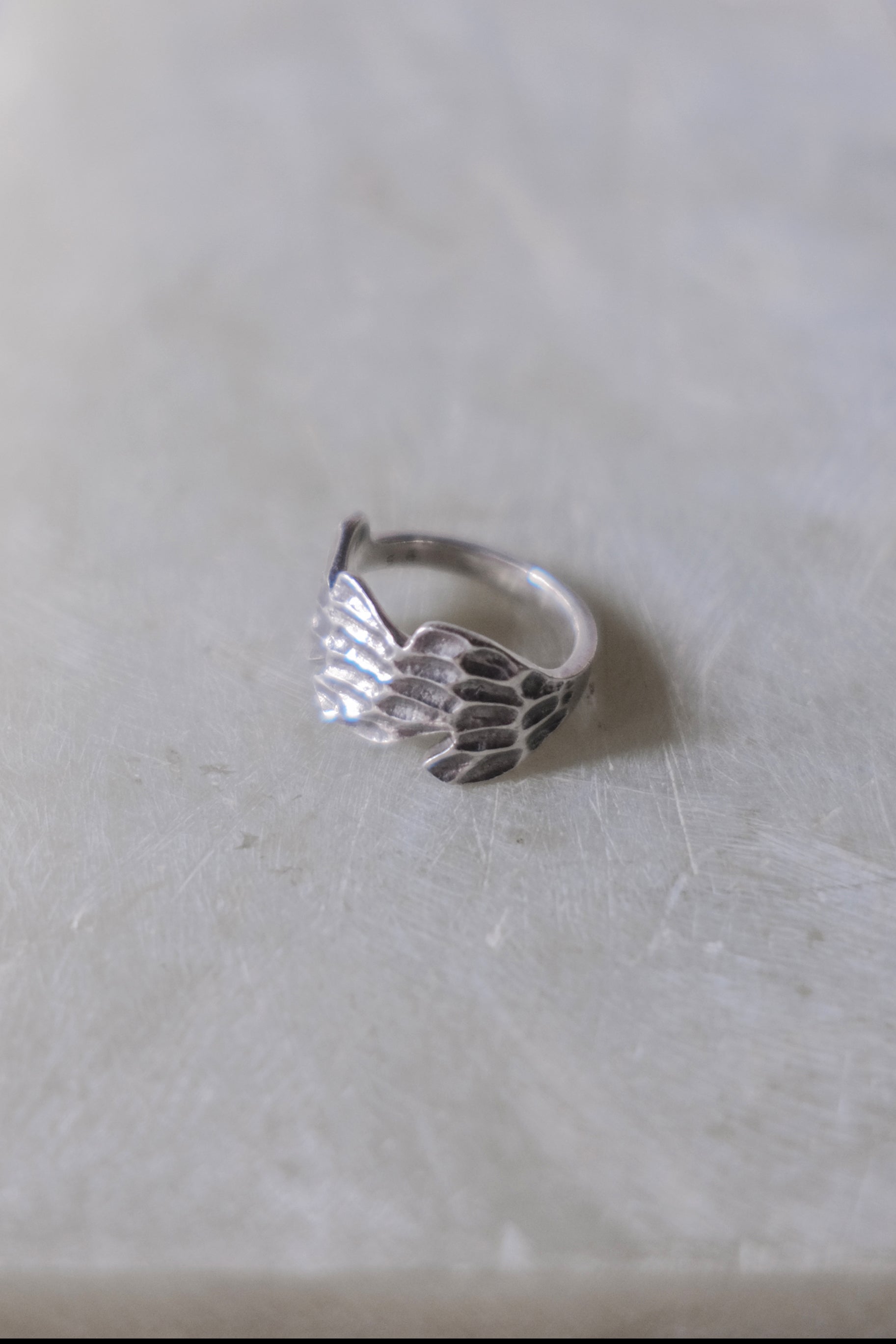 Ethnic Vintage Silver Ring _ BO II