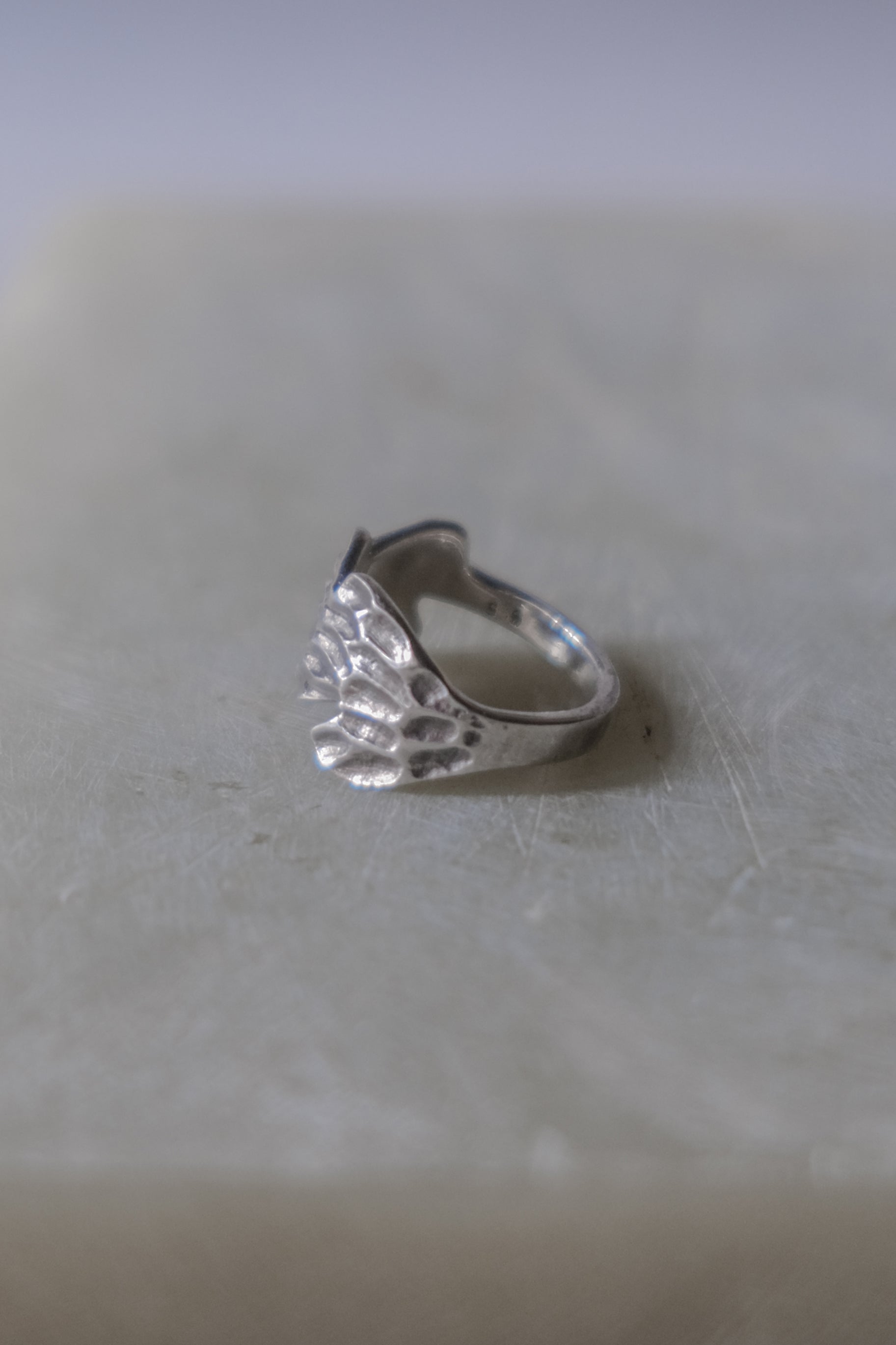 Ethnic Vintage Silver Ring _ BO II