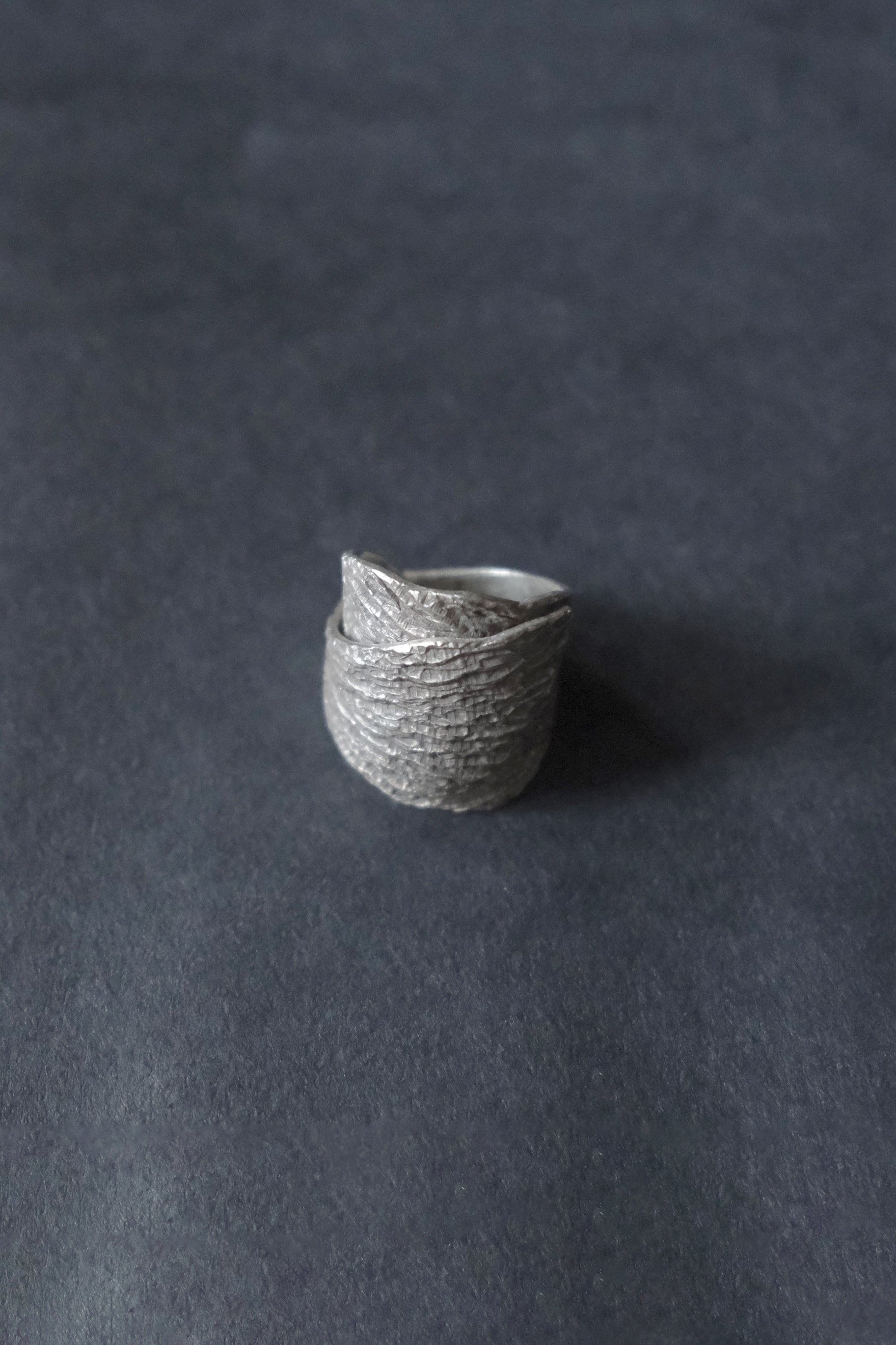 Ethnic Handcrafted Silver Ring _ BO XLII