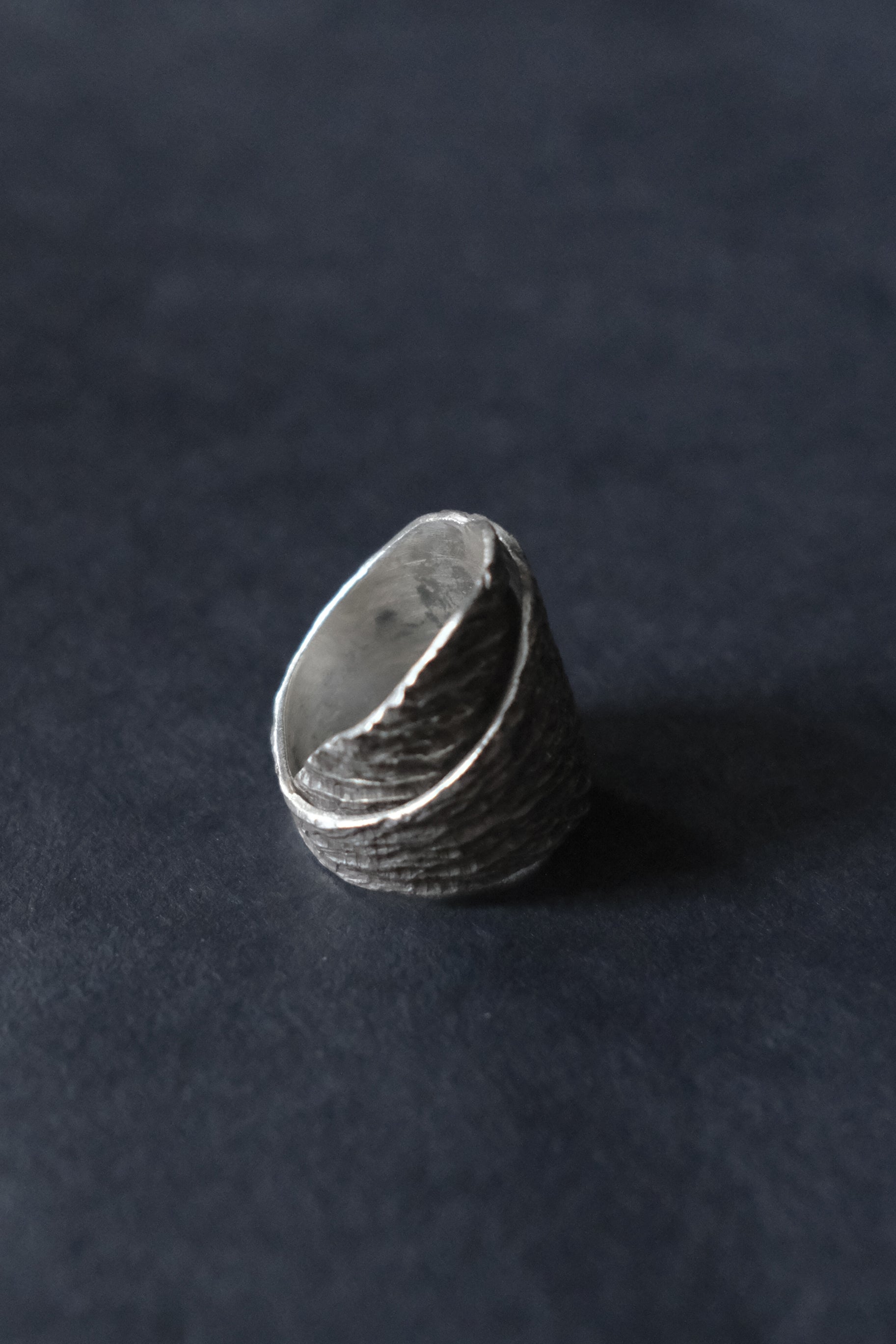 Ethnic Handcrafted Silver Ring _ BO XLII