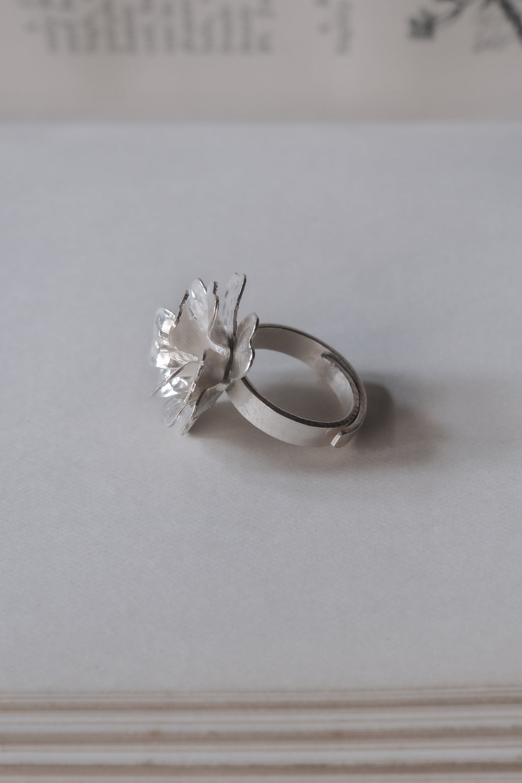 Ethnic Handcrafted Silver Ring _ BO LI