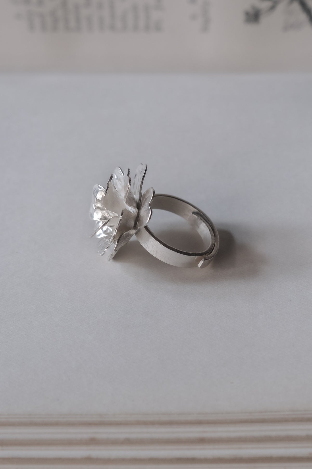Ethnic Handcrafted Silver Ring _ BO LI